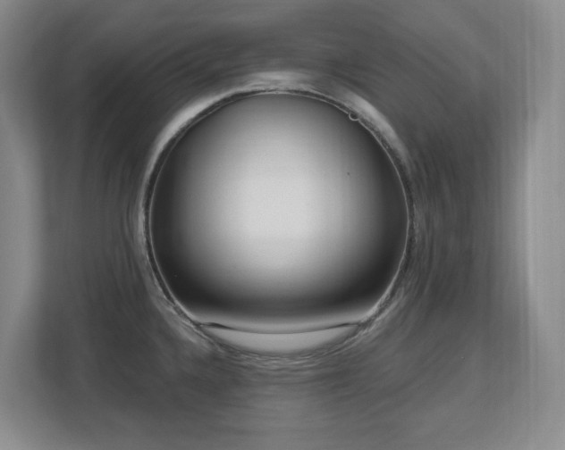 X0000112741336200908201339