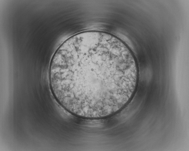 X0000112741338200908201339