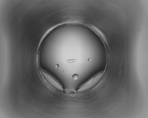 X0000112741340200908201339