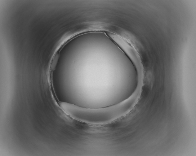 X0000112741342200908201339