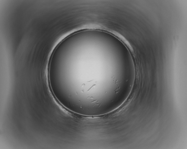 X0000112741343200908201339