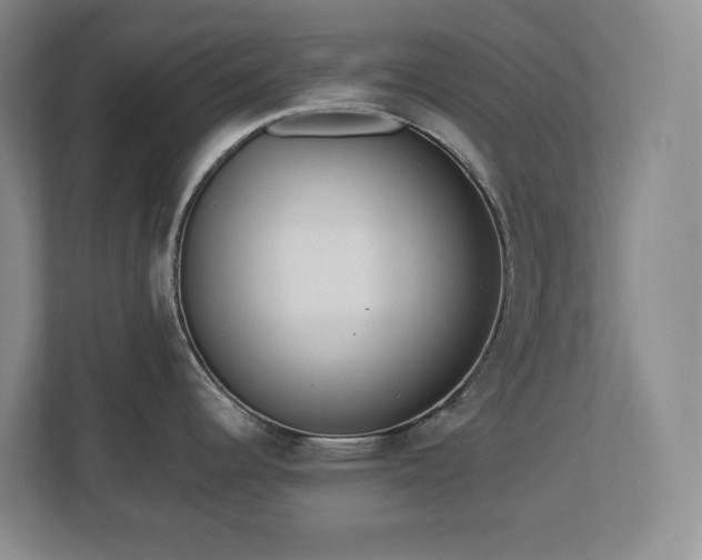 X0000112741344200908201339