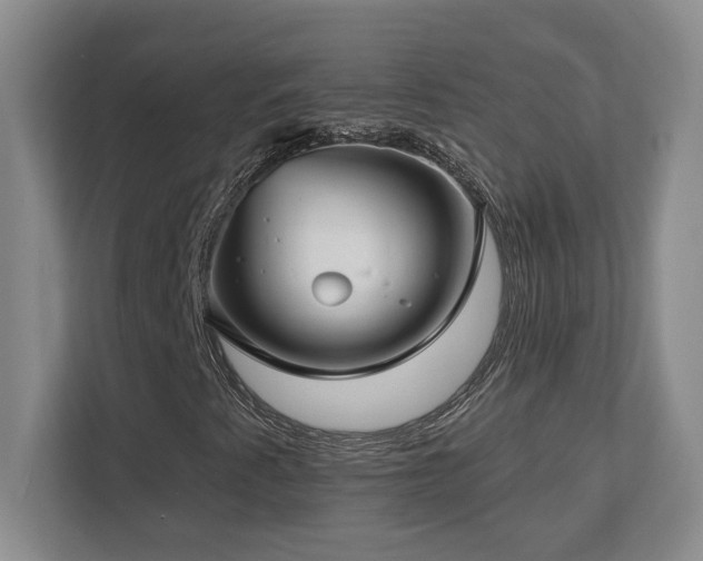 X0000112741345200908201338