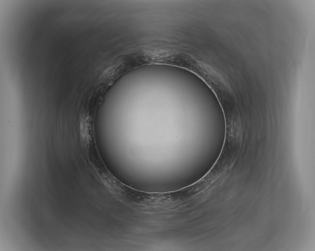 X0000112741346200908201338