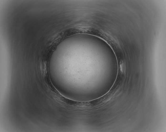 X0000112741347200908201338