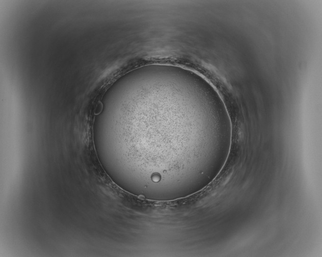 X0000112741350200908201338