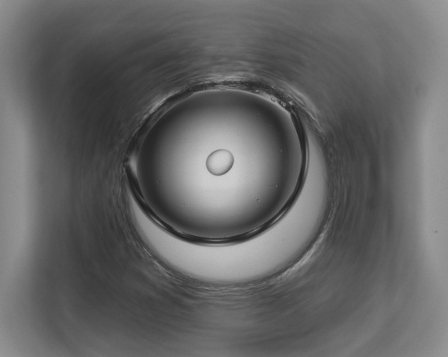 X0000112741353200908201338