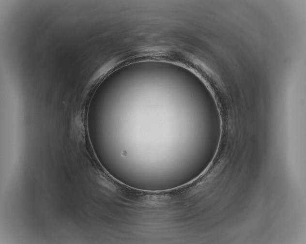 X0000112741354200908201338