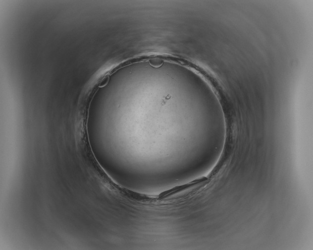 X0000112741359200908201338