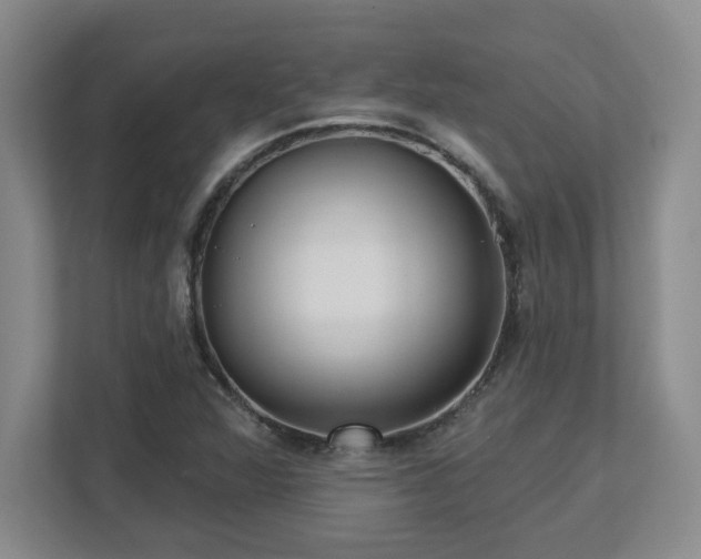 X0000112741360200908201338
