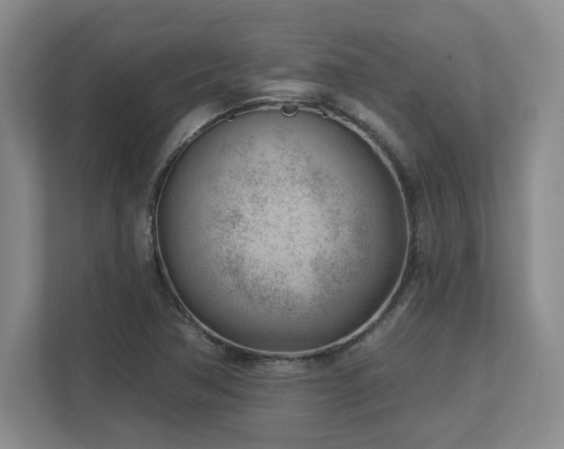 X0000112741362200908201338