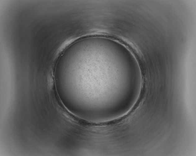 X0000112741363200908201338
