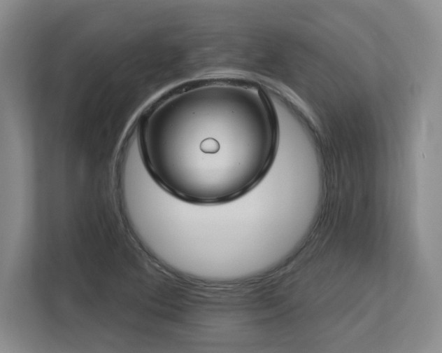 X0000112741364200908201338
