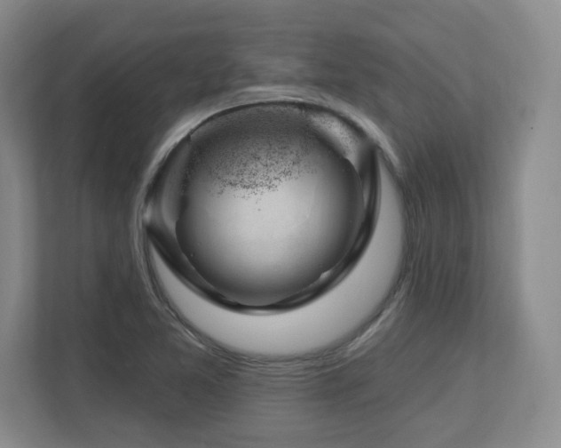 X0000112741365200908201338