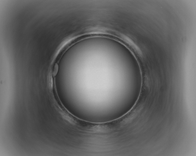 X0000112741368200908201338