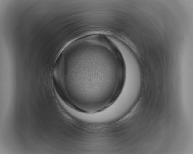 X0000112741369200908201338