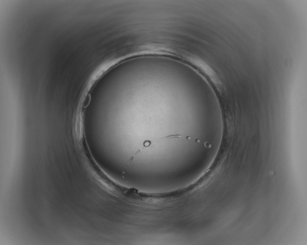 X0000112741371200908201338