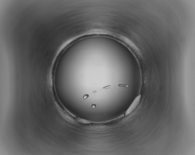 X0000112741372200908201338