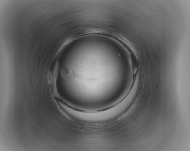 X0000112741377200908201338