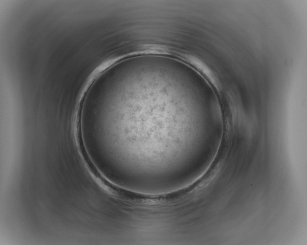 X0000112741379200908201338