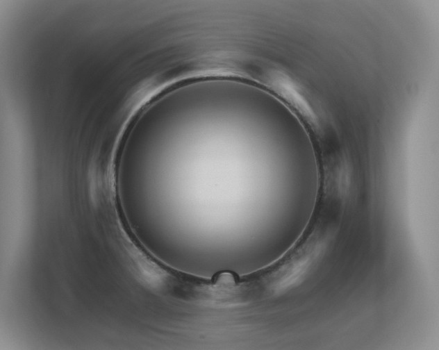 X0000112741380200908201338