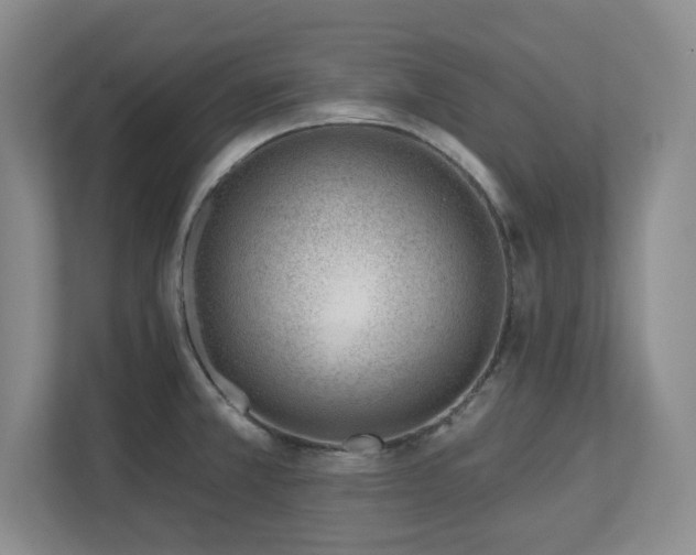 X0000112741381200908201338