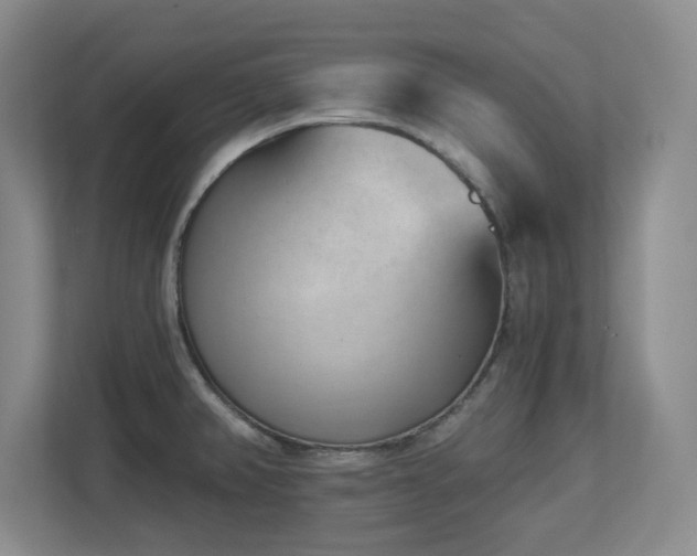 X0000112741382200908201337