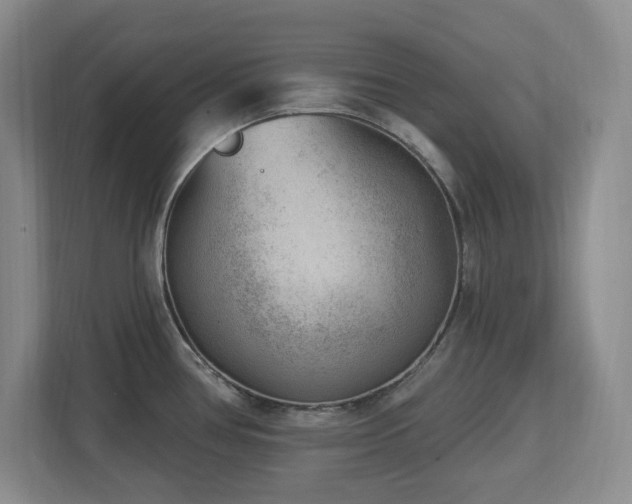 X0000112741386200908201337