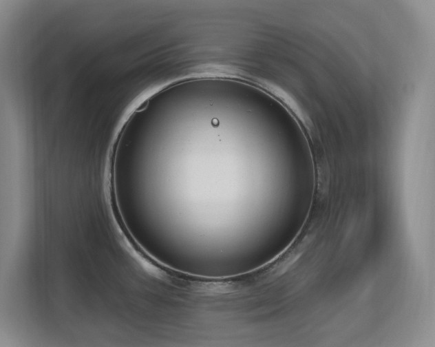 X0000112741387200908201337