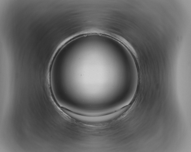 X0000112741388200908201337