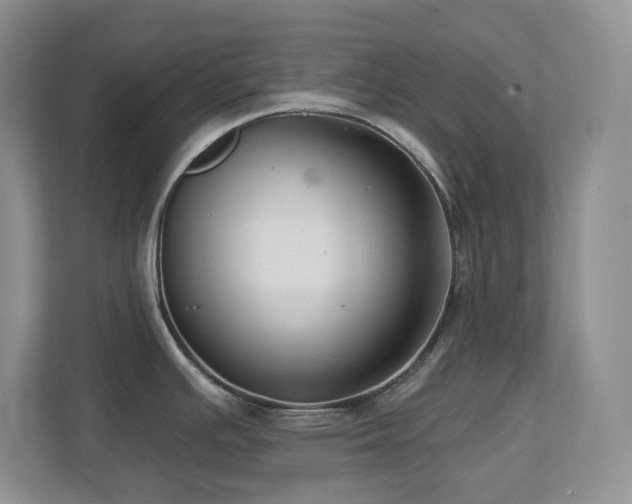 X0000112741391200908201337