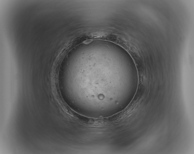 X0000112741393200908201337