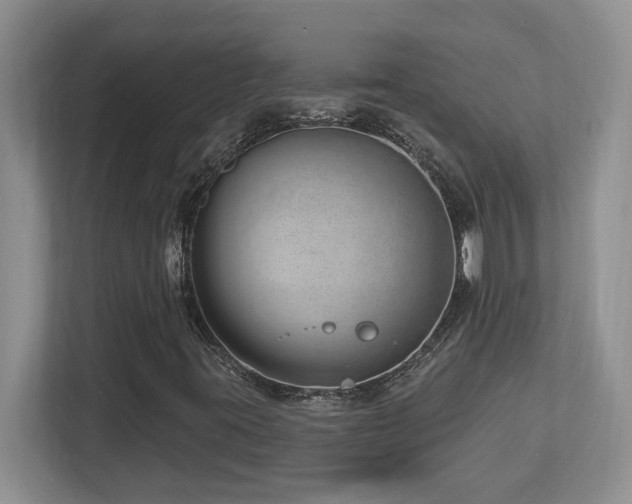 X0000112741395200908201337