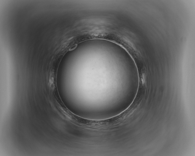 X0000112741396200908201337