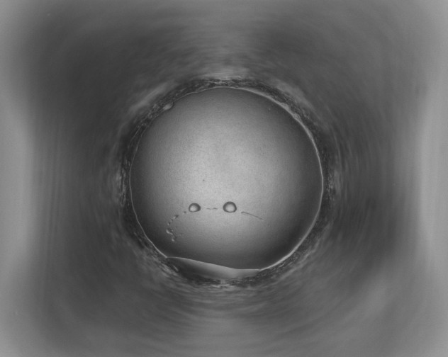 X0000112741398200908201337