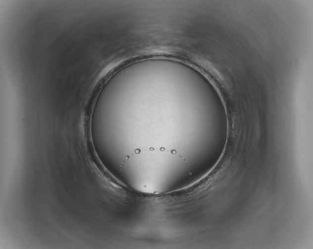 X0000112741404200908201337