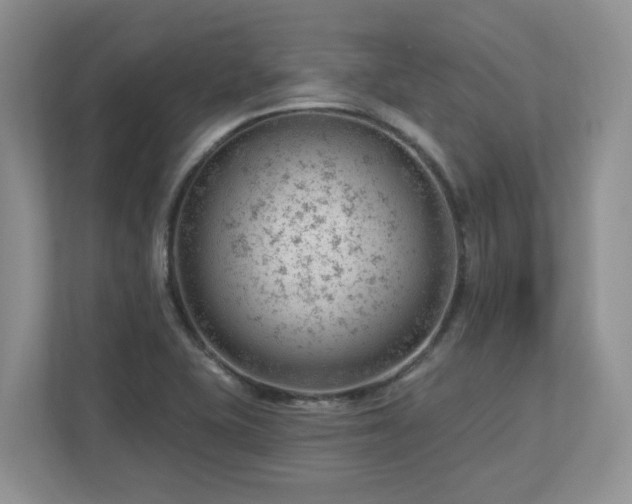 X0000112741415200908201337
