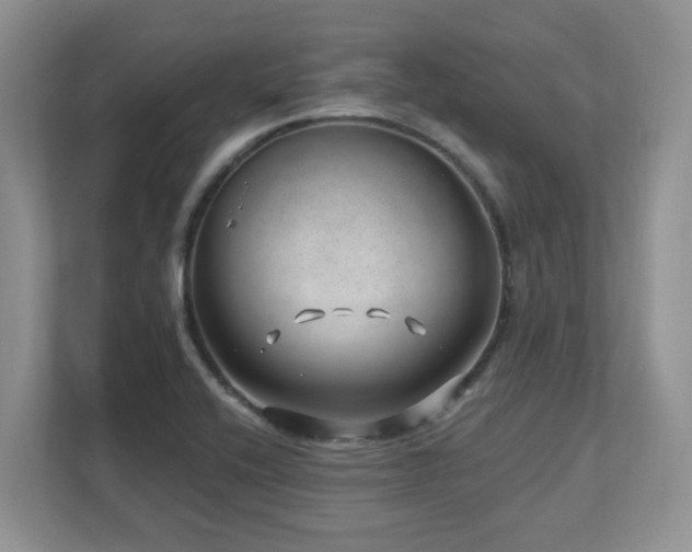 X0000112741416200908201337
