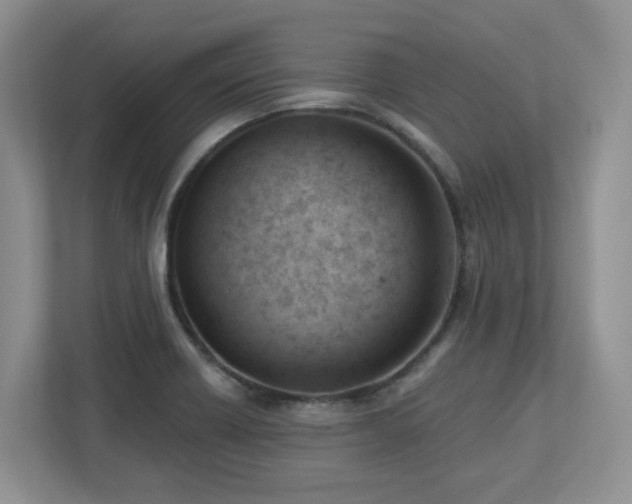 X0000112741418200908201337