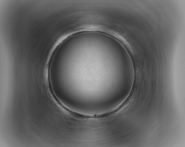X0000112741424200908201337