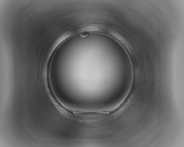 X0000112741426200908201337