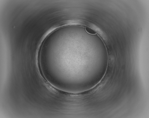 X0000112741427200908201337