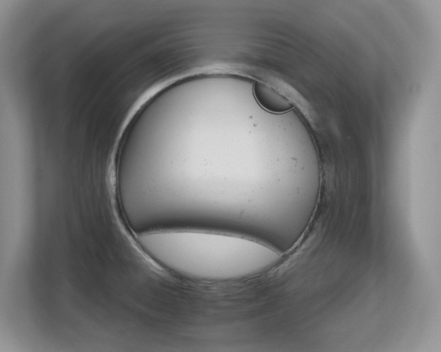 X0000112741428200908201337