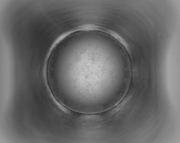 X0000112741429200908201337