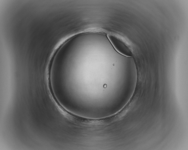 X0000112741430200908201337