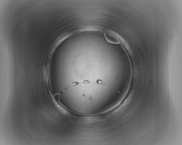X0000112741433200908201337