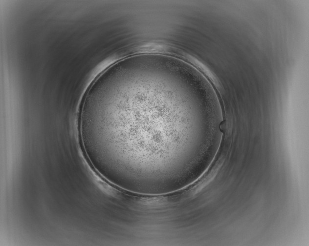 X0000112741434200908201337