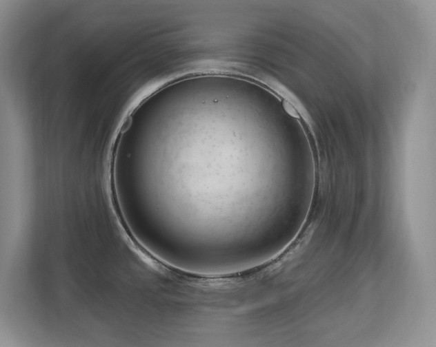 X0000112741437200908201337