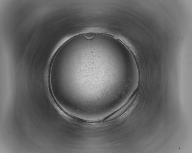 X0000112741438200908201337