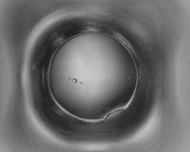 X0000112741439200908201337
